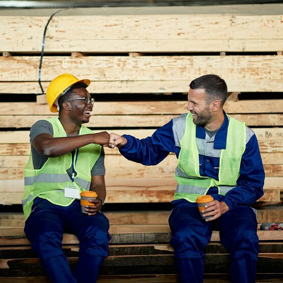 VIZ tradies insurance